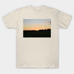 Sunset Through the Grass T-Shirt